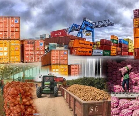 How Ghana’s farm produce gets to global markets