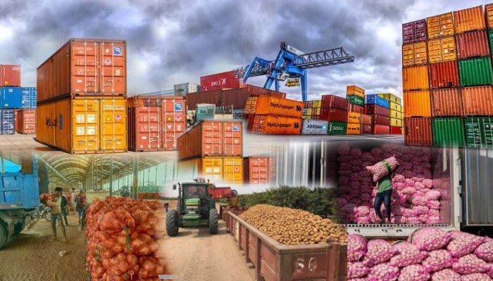 How Ghana’s farm produce gets to global markets
